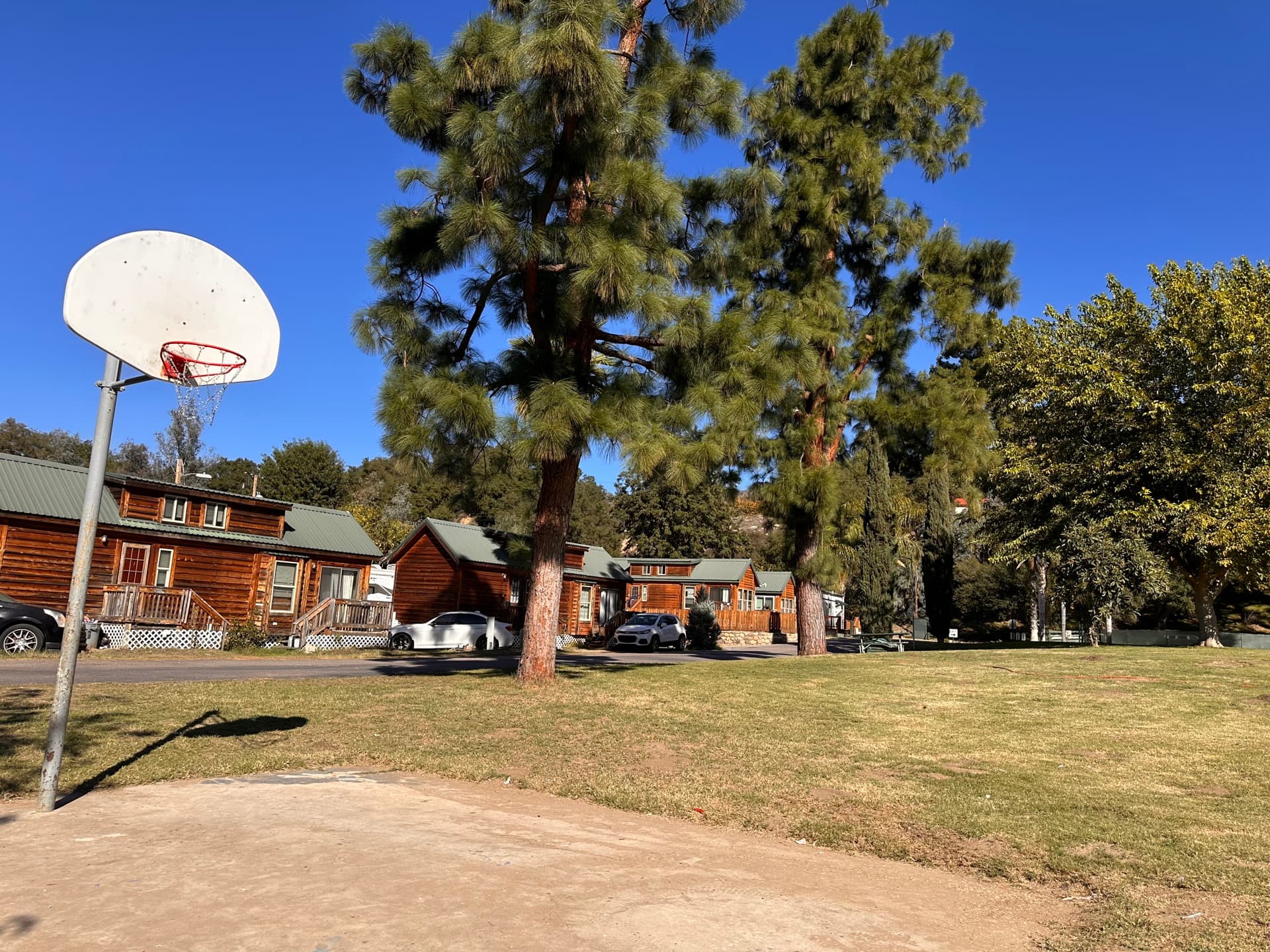 Basketball court surrounded by pine trees at Rancho Corrido